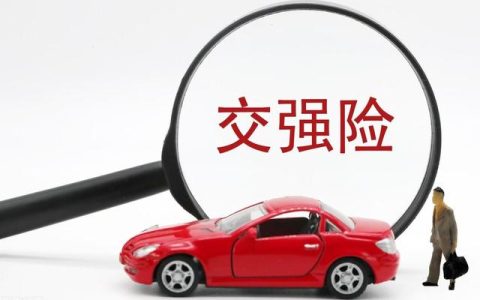 全国车辆保险查询系统官方网站（全国车辆保险查询系统官方网站电话）